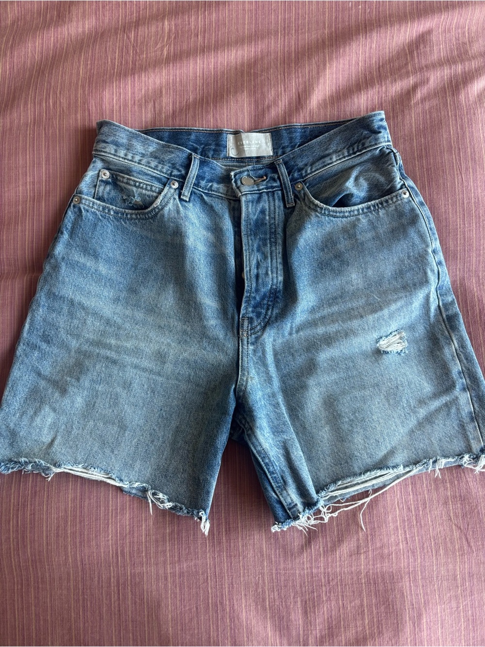 Everlane Way High Rigid Jean Short